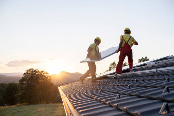 Best Siding  in Duluth, MN